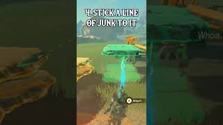 HILARIOUS BOBBLEHEAD GLITCH in TotK!
