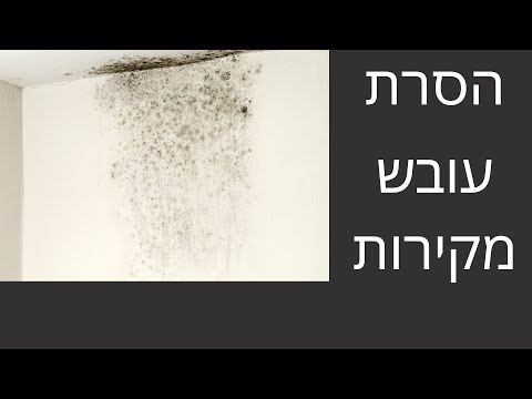 איך להסיר עובש מהקיר/תקרה?