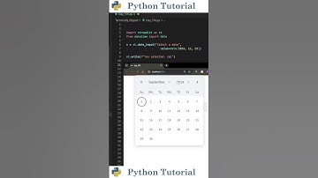 Adding Date Selector To Streamlit Web App | Python Tutorial