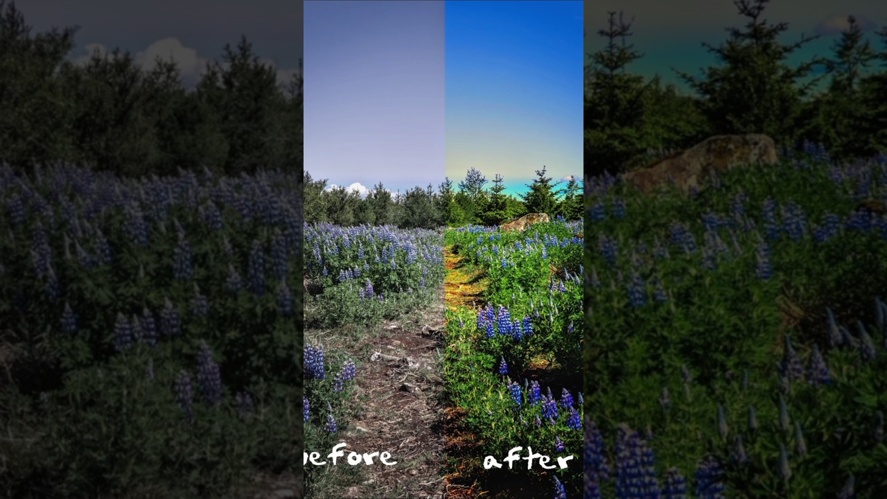 colour Correction #capcut #contentcreator #contentcreator #editor