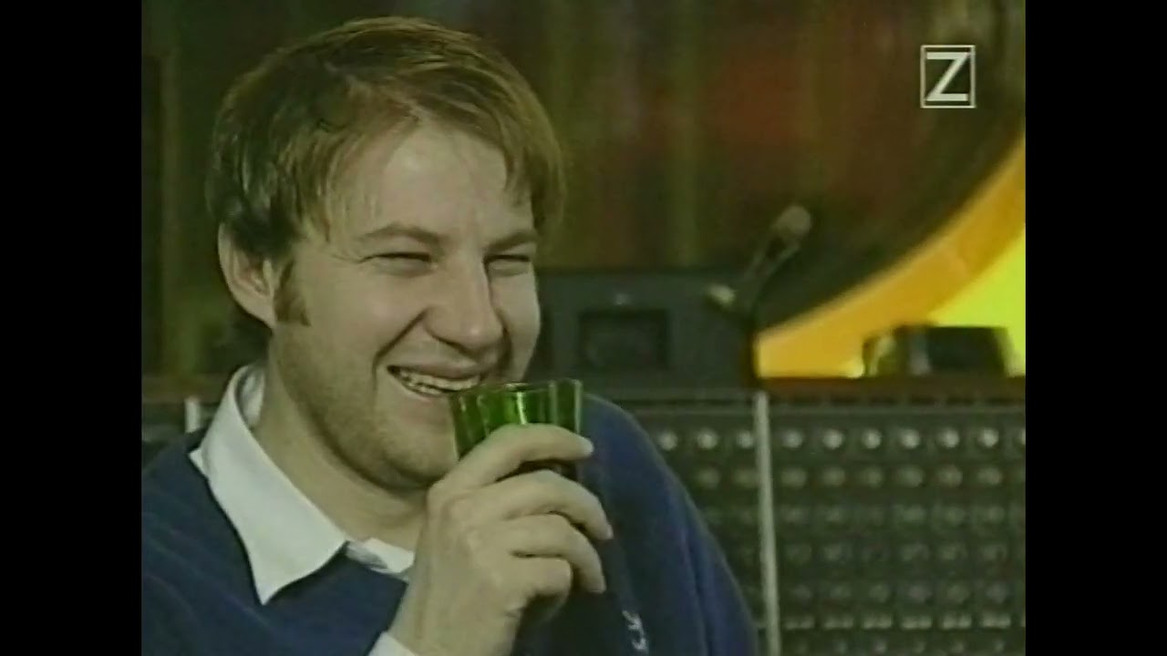 EGGSTONE - Musikmagasinet (ZTV) - reportage with interview, live clips etc. - 28 January 1997