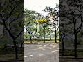 Hening Sore
