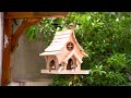 Build Your OWN Adorable Bird Feeder At Home Now!