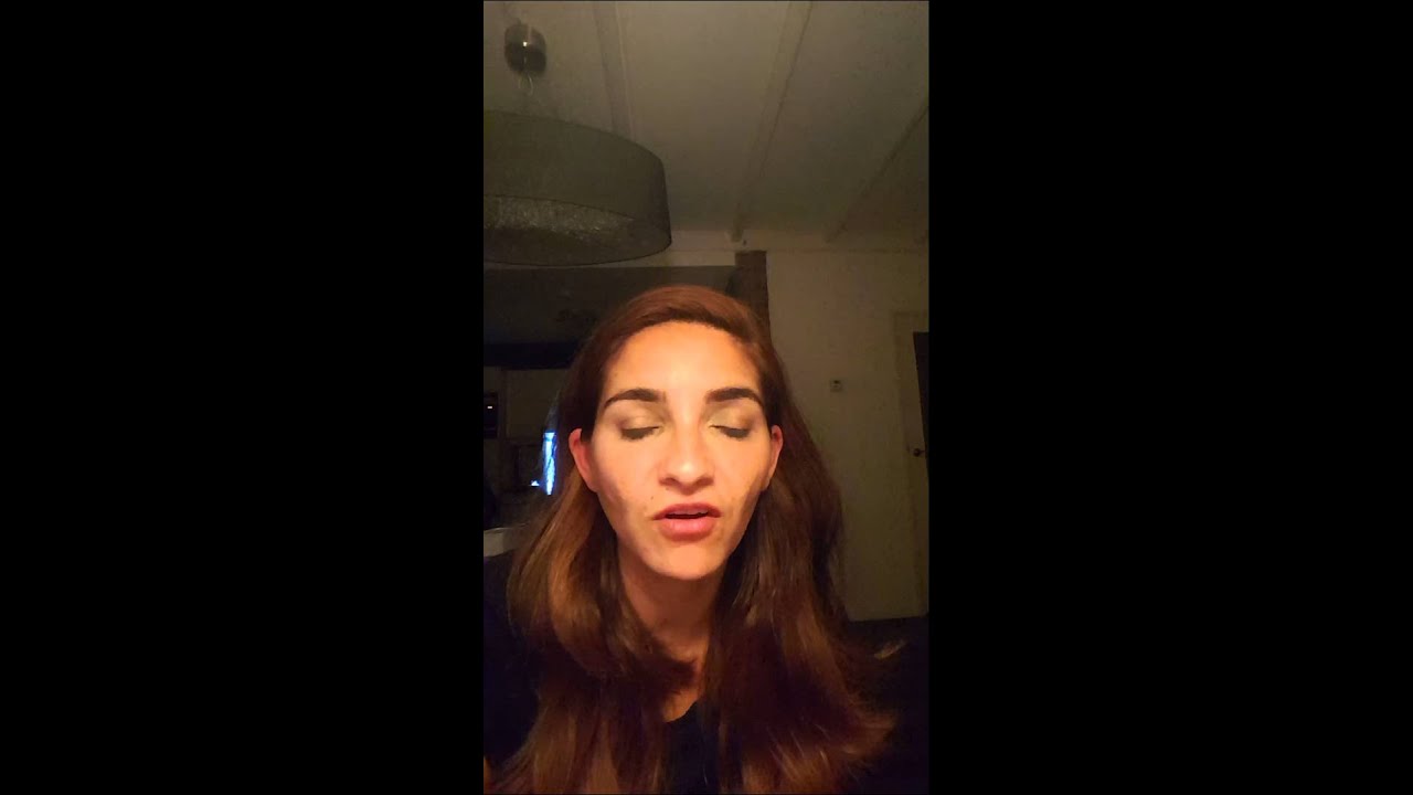 Aprendendo Holandês relâmpago