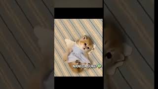 Famous Ruby Chan❌️ Screaming Chan✔️ #shorts #funny #cat #memes #scream #viralshort Profile