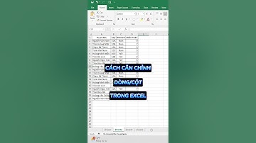 Hướng dẫn cách tự động căn chỉnh dòng cột trong Excel