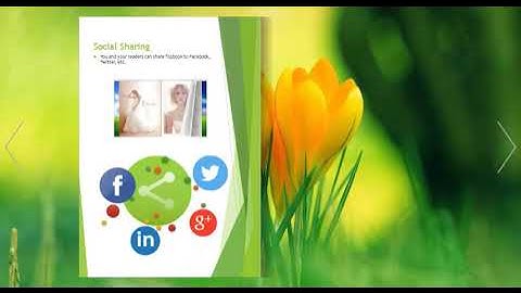 Next FlipBook Maker Pro