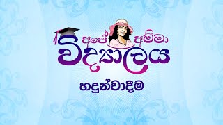 අපේ අම්මා විද්‍යාලය හදුන්වාදීම Ape Amma Widyalaya introduction