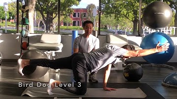 CORE PERFORMANCE PT: BIRD DOG SERIES