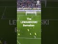 The barnabas of lewandoski tot