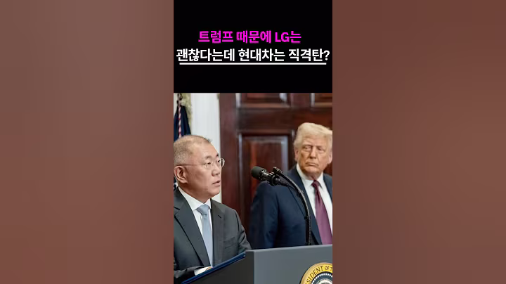 트럼프 때문에 LG는 괜찮다는데 현대차는 직격탄?