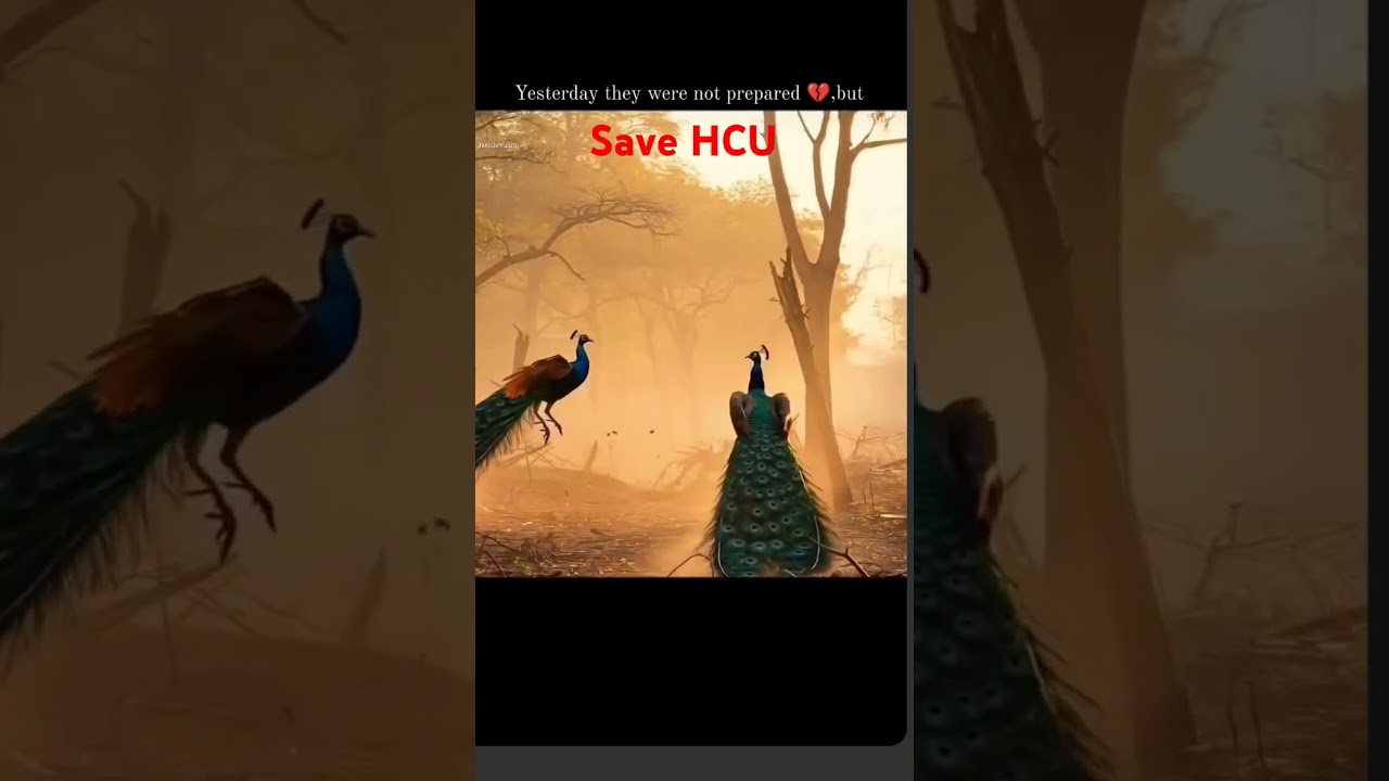 Save HCU🥺