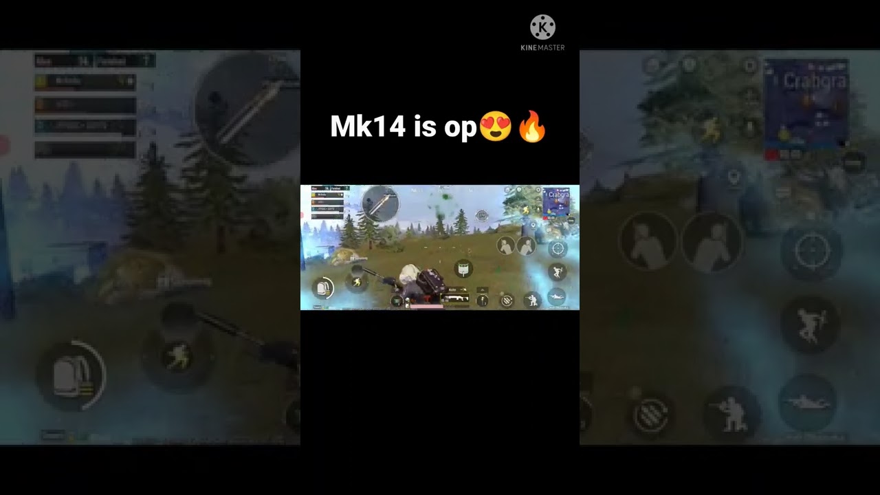 why Mk14 is the always op😍🔥 