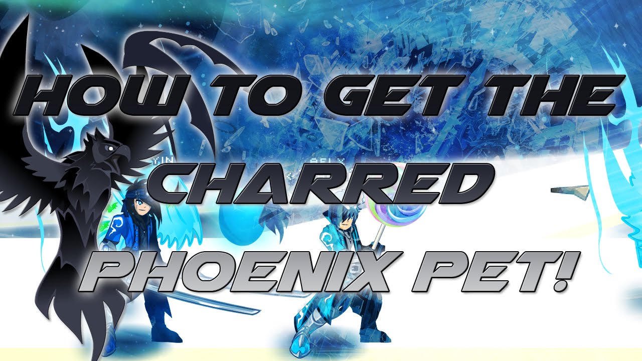 AQW How to get the Charred Phoenix Pet! (Holiday Item Hunt!) YouTube
