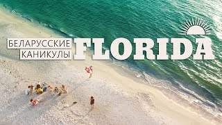 Интересные факты о Флориде и нашем путешествии. Опасные южные скаты на Мексиканском заливе.