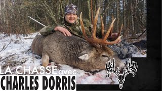 CHASSE AUX CHEVREUILS.Buck mature Québec screenshot 5