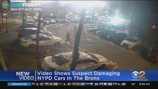 Video Shows NYPD Cars Vandalized