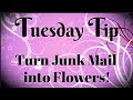 Turn Junk Mail into Flowers | Tuesday Tip
