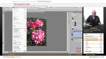 "The Transform Tools" | Adobe Photoshop CS6 with Educator.com