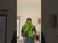 zbb#funny #shortvideos