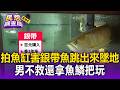 拍魚缸害招財銀帶魚「跳出來墜地」！男不救還拿魚鱗把玩 老闆娘心疼：跟魚道歉【民怨調查局】