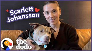 Scarlett Johansson Goes on A Dodo Dream Date | The Dodo