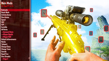 I Caught a HACKER Using Aimbot on Call of Duty..