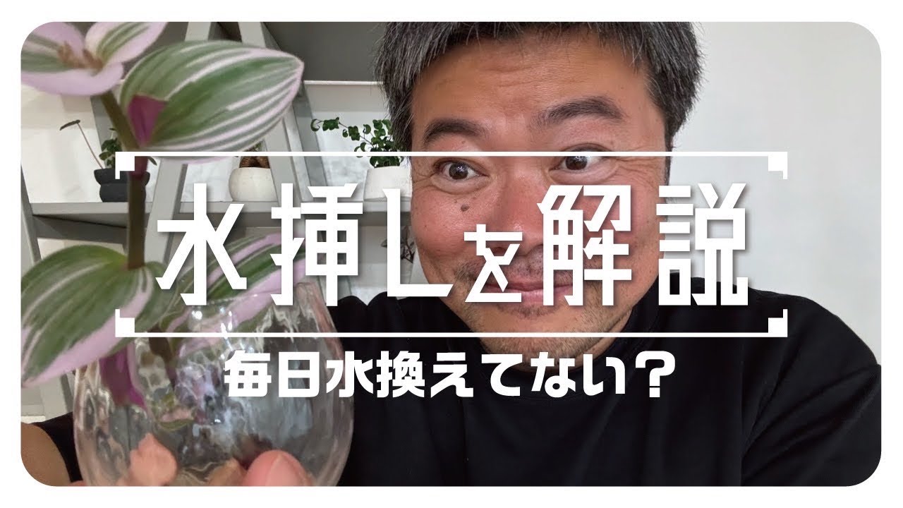 間違えてない⁉️水挿しについてもう一度解説