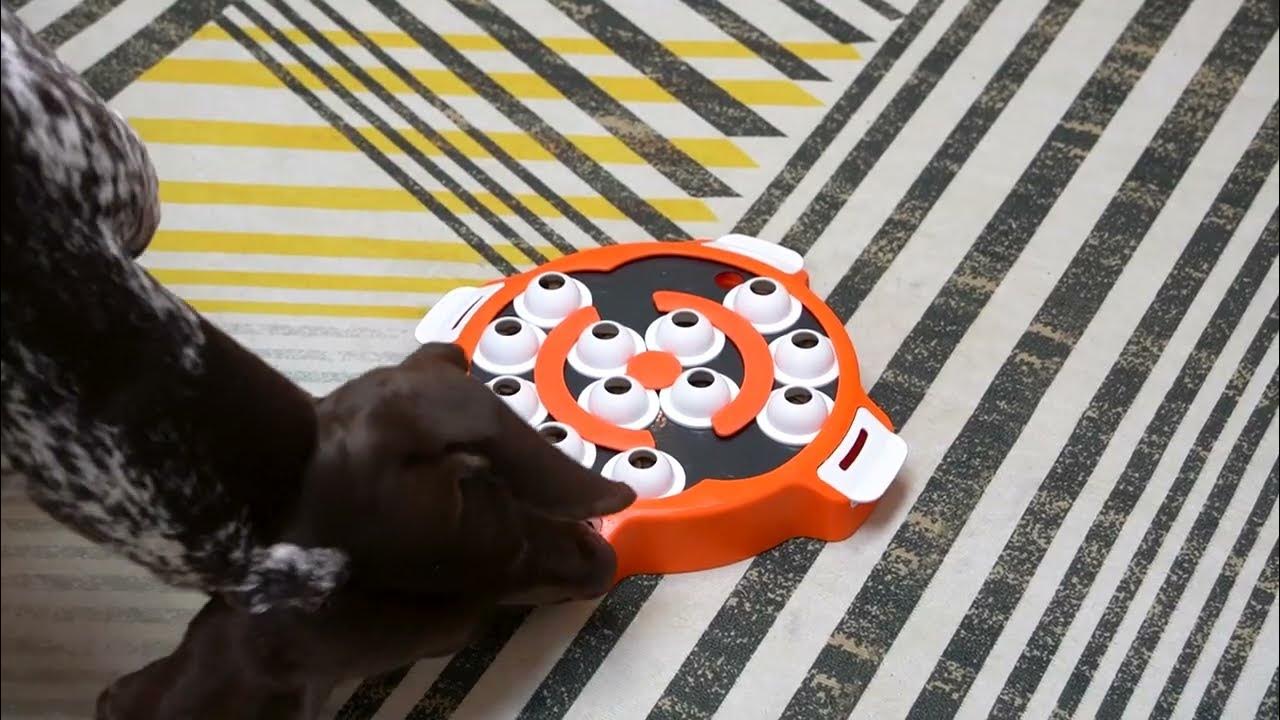 KADTC Dog Puzzle Maze Toy Pet Brain Stimulation IQ Toy Level 2 in 1