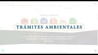 Pasos A Paso Trámites Ambientales En Línea Codechocó