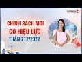 Chính Sách Mới Nổi Bật Có Hiệu Lực Tháng 12/2022 - Tháng Cuối Sử Dụng Sổ Hộ Khẩu | LuatVietnam