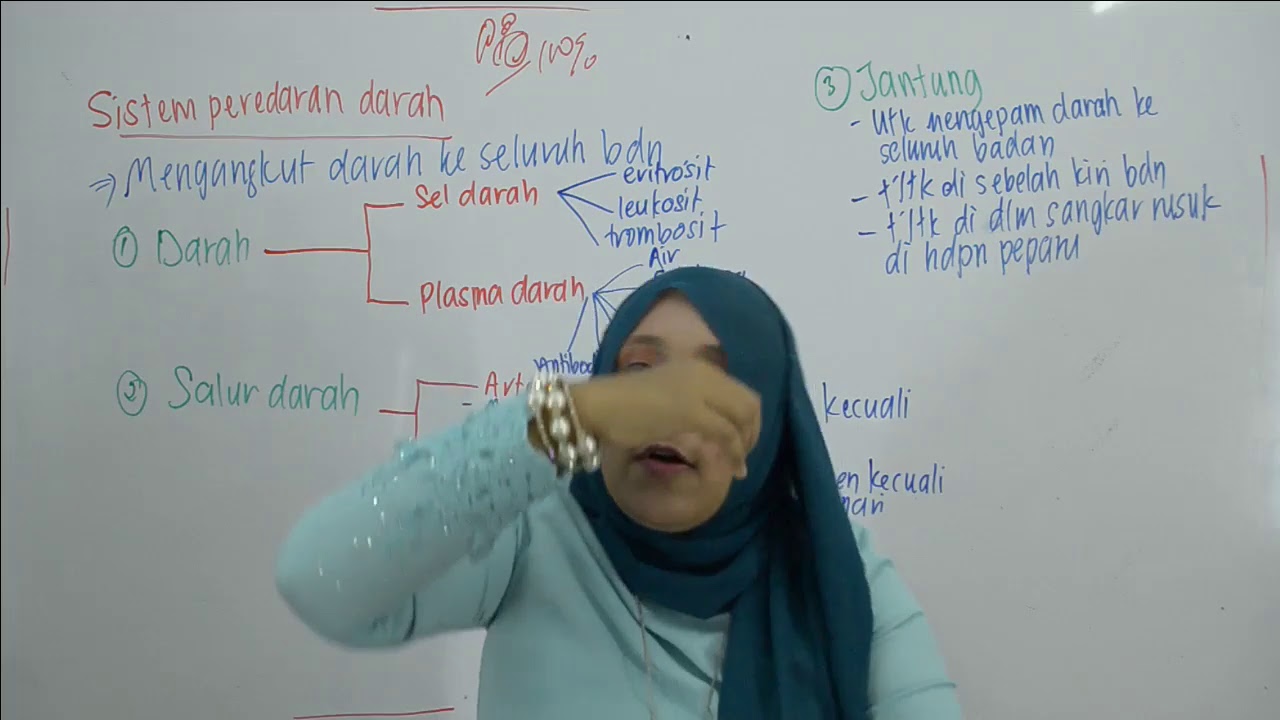 Perbezaan Antara Darah Manusia Dan Darah Haiwan 2021 Berita