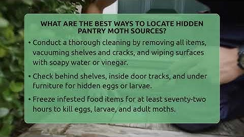 What Are The Best Ways To Locate Hidden Pantry Moth Sources? - Insects and Invaders