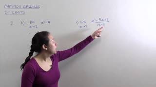 MATH1011 Calculus Section 2.1 Question 2bc Profile