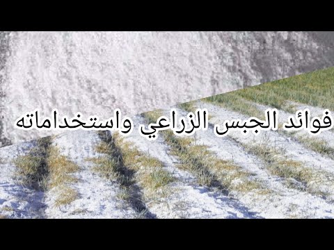 فوائد الجبس الزراعي واستخداماته