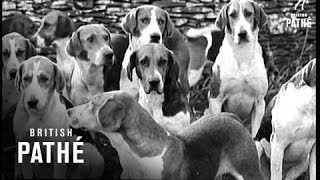 Full title reads: "Big Day For The Hunt". Acton Turville, Glouceste...