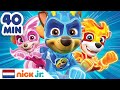 PAW Patrol | De dapperste reddingen van de heldhaftige pups! | Nick Jr. Nederland