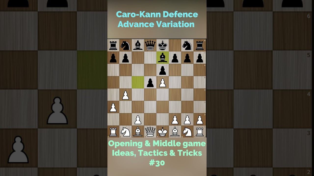 Caro-Kann Defense Chess T-shirt – Zero Blunders