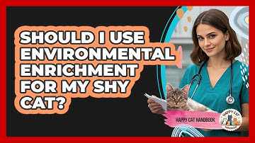 Should I Use Environmental Enrichment For My Shy Cat? - Happy Cat Handbook