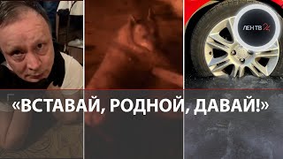 Бандиты Петербурга 27 Лет Спустя | Алабай Растерзал Хозяйку | Депутат В Клетке | Похитители Сигарет