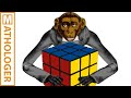 What's the Monkey number of the Rubik's cube?