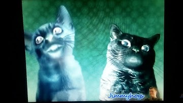 Preview 2 Numa Cat Effects in G major Invert color