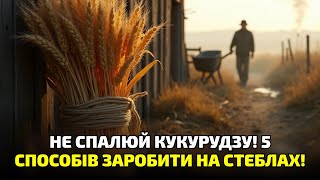 видео: Не спалюй кукурудзяне поле! Ти викидаєш золото просто під ноги! картинка: Не спалюй кукурудзяне поле! Ти викидаєш золото просто під ноги!