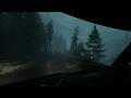 You're driving along... Then you see him... Shia LaBeouf... What comes next - Pacific Drive