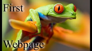 First Webpage Html Css W001