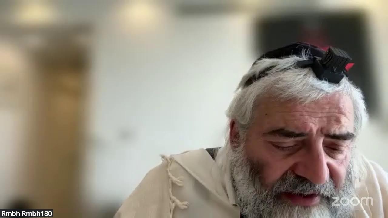 Daf HaYomi - Zevahim 116