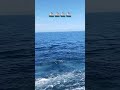 🚢🚢🚢🚢