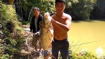 Câu lục | câu được con cá mè tự nhiên khủng