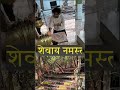 शिव ही सत्य है