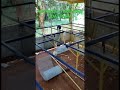 BIGGEST GOAT BREEDING FARM IN MOODBIDRI OPENING SOON/beetal goats/ pure breed /+91 99001 46287